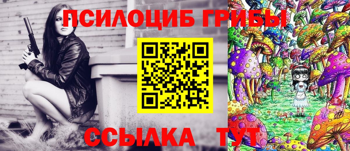 Галлюциногенные грибы Psilocybe Бирск