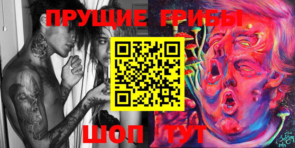 Псилоцибиновые грибы Psilocybe  Вход с VPN  Бирск 